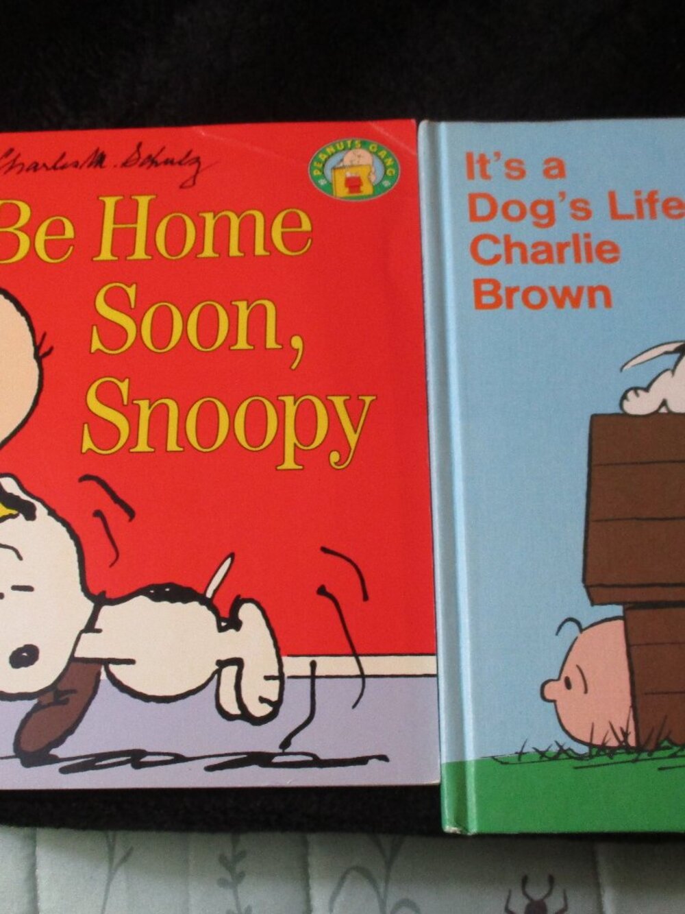 Lot of Two Charlie Brown & Snoopy Books It's a Dog's Life Hardcover